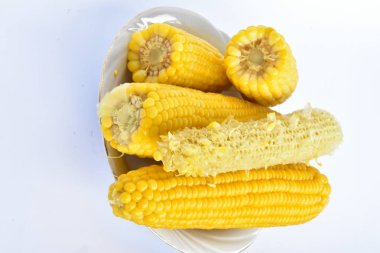 Beyaz arkaplanda mısır