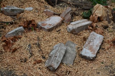 güzel arkaplan ve güzel doku