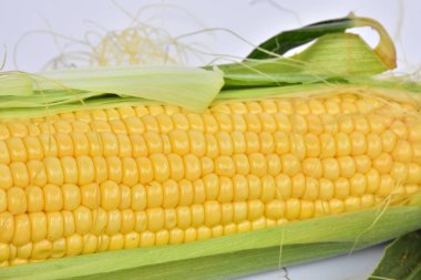 arka planda olgun mısır