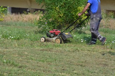 Bahçede çim biçen bir adam. 