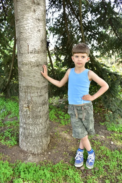 Belo Retrato Uma Criança — Fotografia de Stock