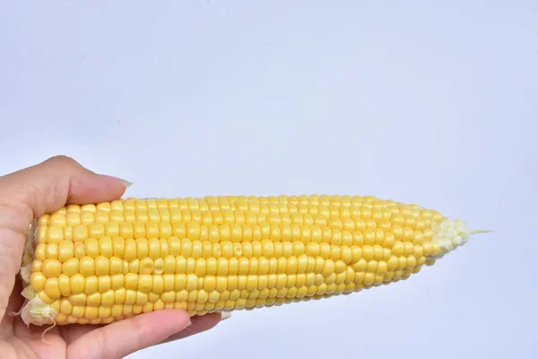 Gazdaság Vezetője Kukorica Közelről — Stock Fotó
