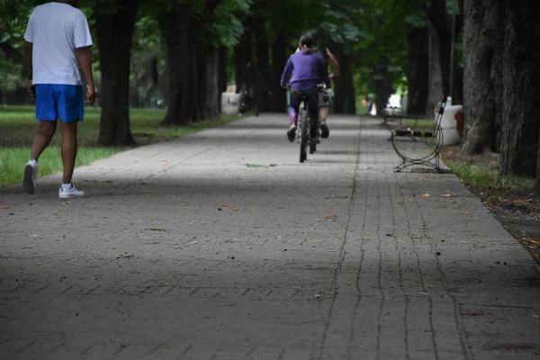 公園で自転車に乗っている若い女性は — ストック写真