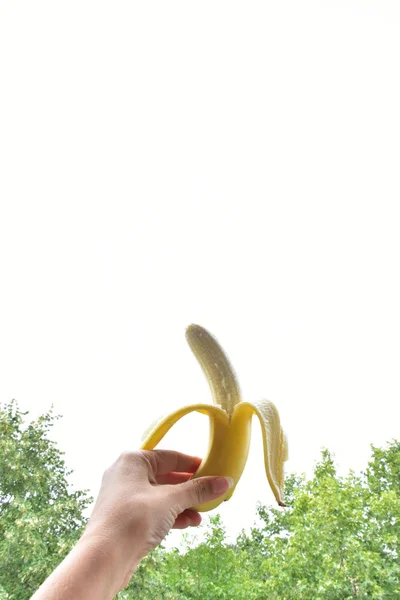 Banan Ręku Zielone Drzewa Tle — Zdjęcie stockowe