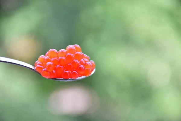 Caviar Rouge Poisson — Photo