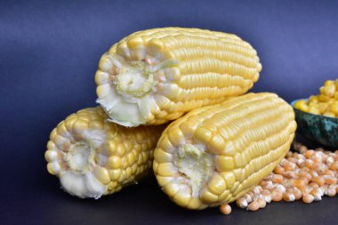 ham Mısır başkanları ve tohum 