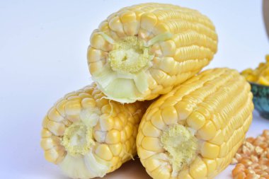 ham Mısır başkanları ve tohum 