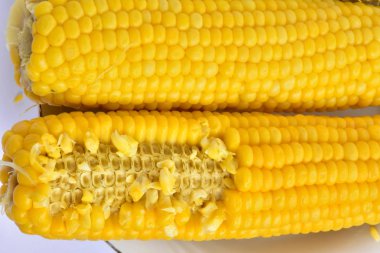Haşlanmış mısır yakın çekim 