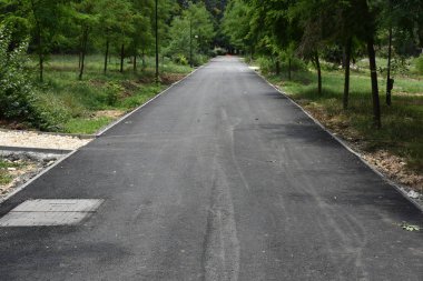 Parktaki boş asfalt yolu, yaz yeşil ağaçları.