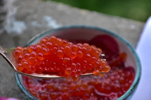 Caviale Rosso Pesce — Foto Stock