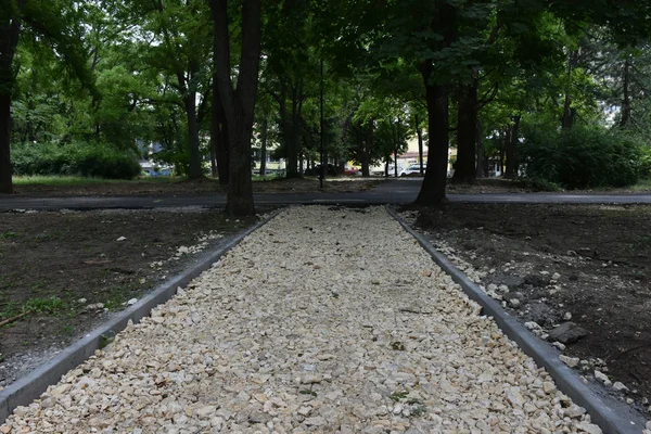 Empty Road Park Summer Green Trees — Zdjęcie stockowe