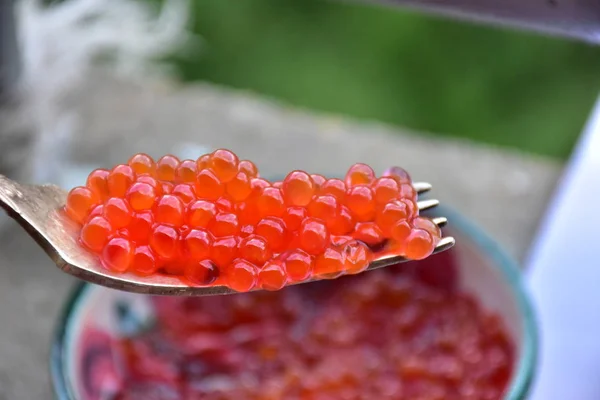 Balık Tan Kırmızı Havyar — Stok fotoğraf