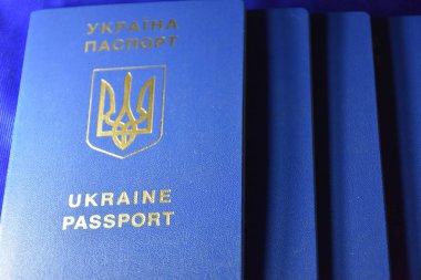 Ukrayna vatandaşı nın kağıt pasaport