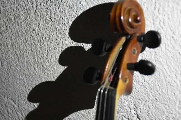 Brown Wooden Violin Musical Instrument — Stock Fotó