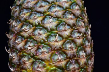 Olgun ananas yakın çekim 