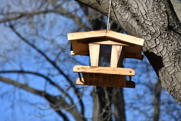 Ξύλινο Σπιτάκι Πουλιών Για Πουλιά Δέντρο — Φωτογραφία Αρχείου