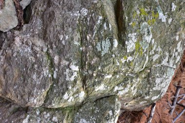 güzel dokular ve güzel arkaplan