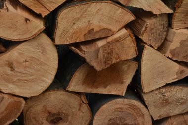 ahşap günlükleri yakın çekim 