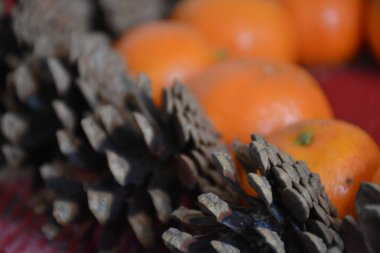 çam kozalakları ve mandalina oluşan kompozisyon 