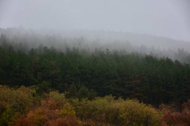Yazın güzel manzara ve ev