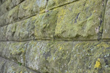 güzel dokular ve güzel arkaplan