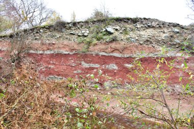  Orman, ağaçlar ve orman manzarası