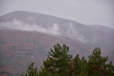 çok güzel manzara dağları ve sis