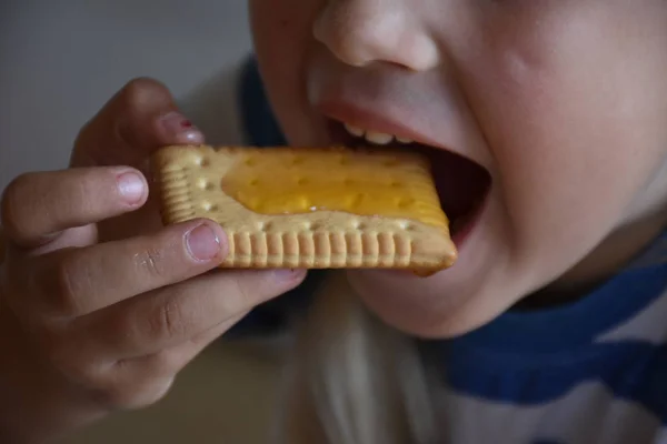 little girl eating cookie close up