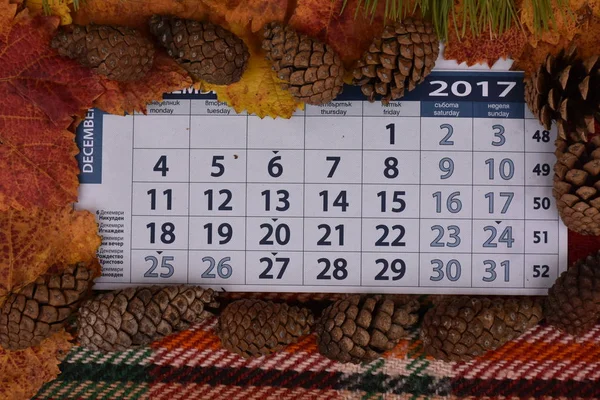 Beau Calendrier Avec Des Cônes — Photo