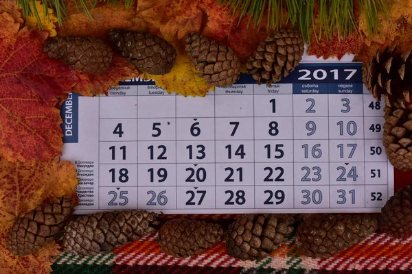 Beautiful Calendar Cones — Stock Photo, Image