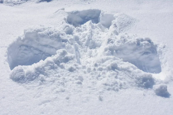 Відображення Ангела Снігу — стокове фото