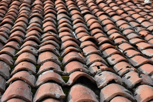 Vacker Bakgrund Och Vacker Konsistens — Stockfoto