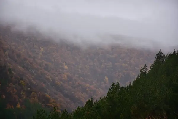 とても美しい風景山と霧 — ストック写真