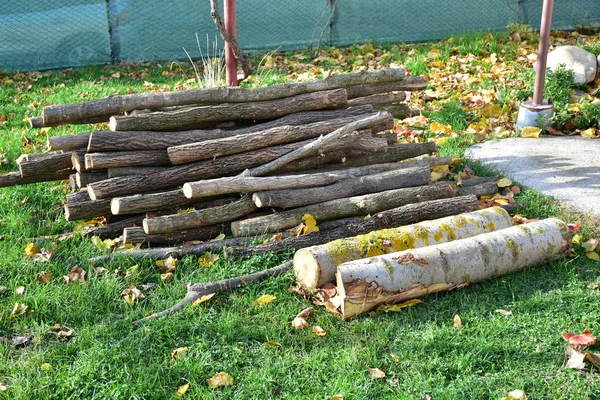 Brennholz Und Rundholz Und Holz — Stockfoto