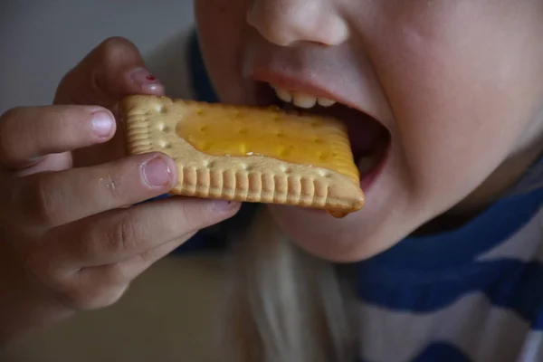 Little Girl Eating Cookie Close — Stock Photo, Image