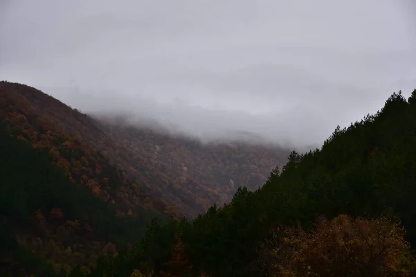 Muy Hermoso Paisaje Montañas Niebla —  Fotos de Stock