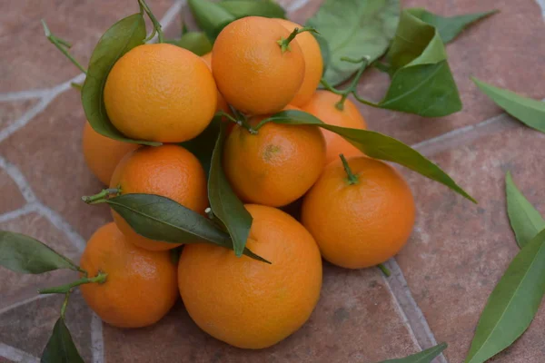 Tangerines Oranges Fruit Orange — Stock Photo, Image