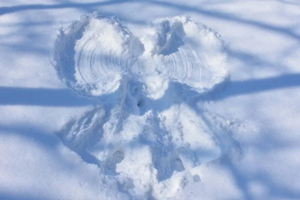 Weerspiegeling Van Een Engel Sneeuw — Stockfoto