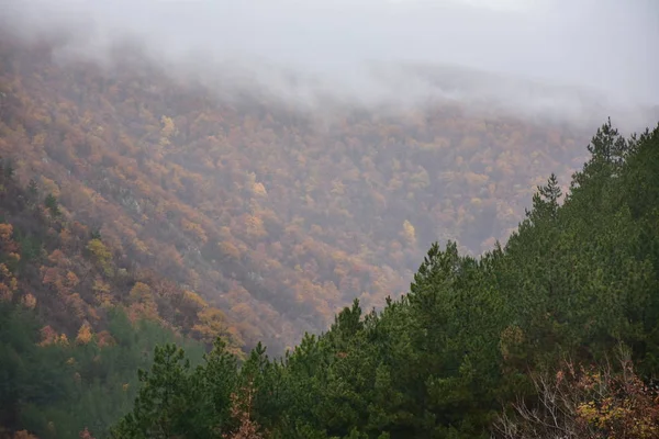 とても美しい風景山と霧 — ストック写真
