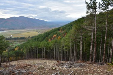 arka planda dağların güzel sahne 