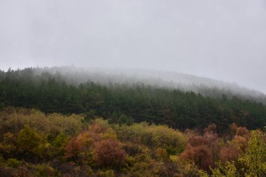 Yazın güzel manzara ve ev