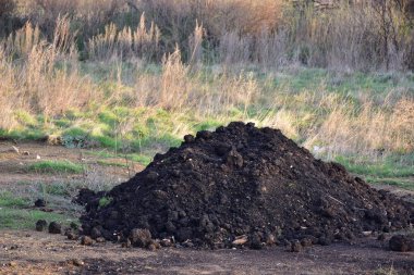 Yaz otlağındaki toprak yığınını yakın çekim
