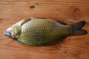 ahşap arka plan üzerinde balık 