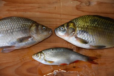 ahşap arka plan üzerinde balık 