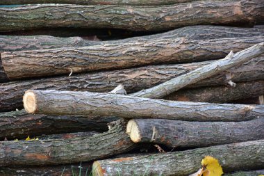 Yakacak odun, odun ve odun