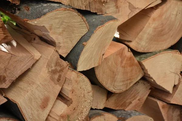 Holzstämme Machen Dicht — Stockfoto