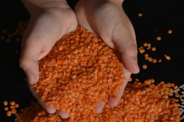 Red Lentils Hand — Stock Photo, Image