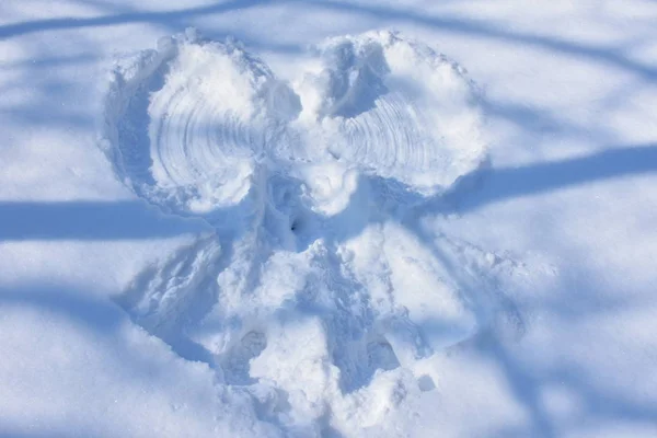 Weerspiegeling Van Een Engel Sneeuw — Stockfoto