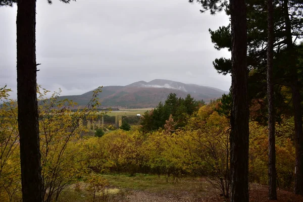 Zeer Mooie Landschap Bergen Mist — Stockfoto