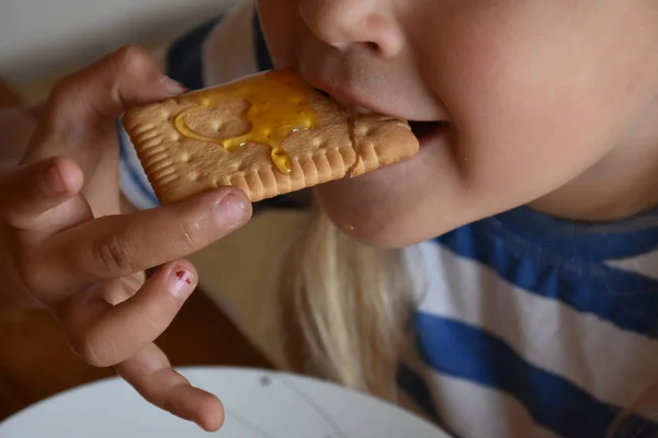 Little Girl Eating Cookie Close — Stock Photo, Image